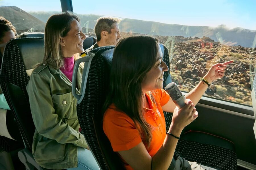 Mount Teide: Day Trip to Volcano Teide Without Cable Car - The high mountain plants of Teide