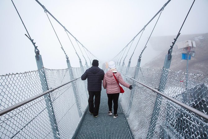 Mount Titlis and Lucerne Day Trip from Zurich - Glacier Cave, Cliff Walk, and Ice Flyer