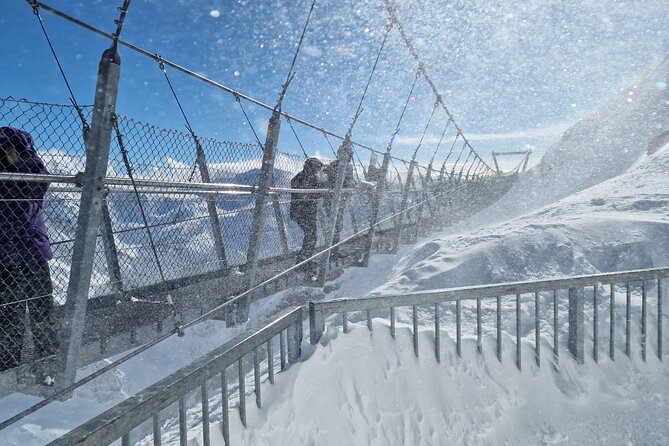 Mount Titlis Half-Day Trip from Lucerne - Free time, food, and the role of the guide