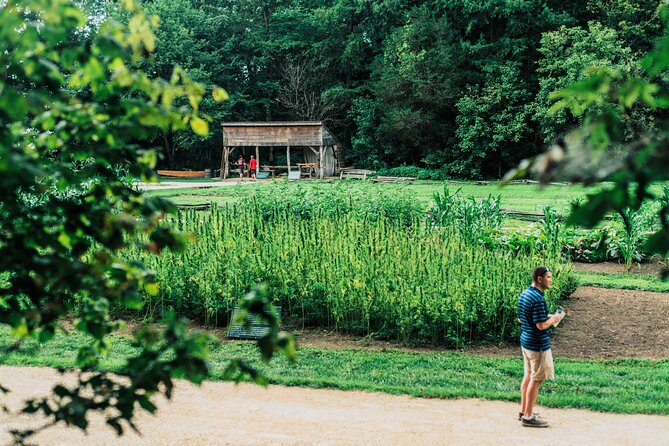 Mount Vernon and Old Town Alexandria Day Trip from Washington DC - Guides who add real value