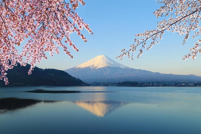 Mt. Fuji Day Trip from Tokyo with English Speaking Driver Guide - Key points to know before booking