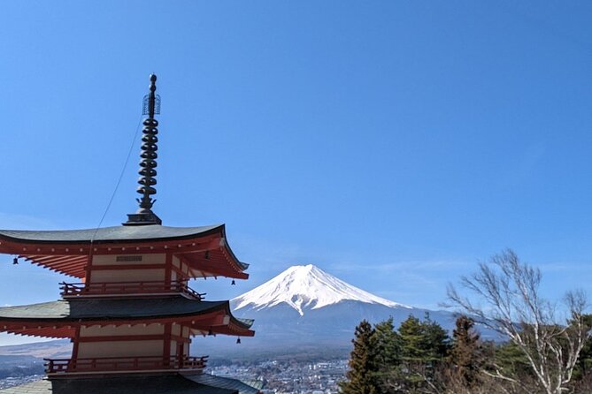 Mt. Fuji Day Trip from Tokyo with English Speaking Driver Guide - What this private Mt. Fuji day really offers