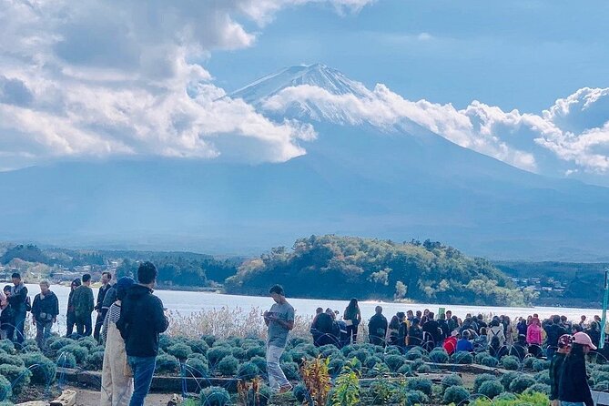 Mt. Fuji Day Trip from Tokyo with English Speaking Driver Guide - Lake Kawaguchiko, the scenic heart of the route