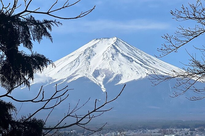 Mt. Fuji Day Trip from Tokyo with English Speaking Driver Guide - The ice caves and Aokigahara forest