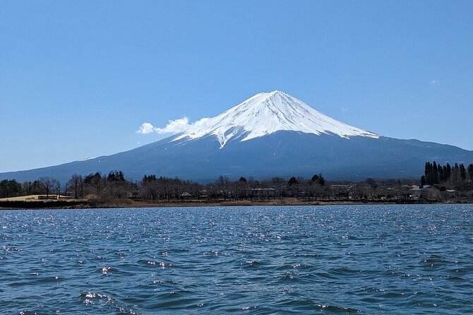 Mt. Fuji Day Trip from Tokyo with English Speaking Driver Guide - Why leaving Tokyo early can save the day
