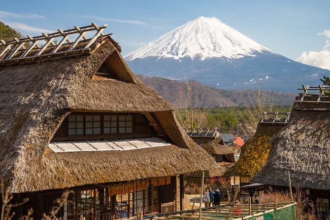 Mt Fuji Private Day Trip from Tokyo with English speaking driver - What you are really buying for $464.27
