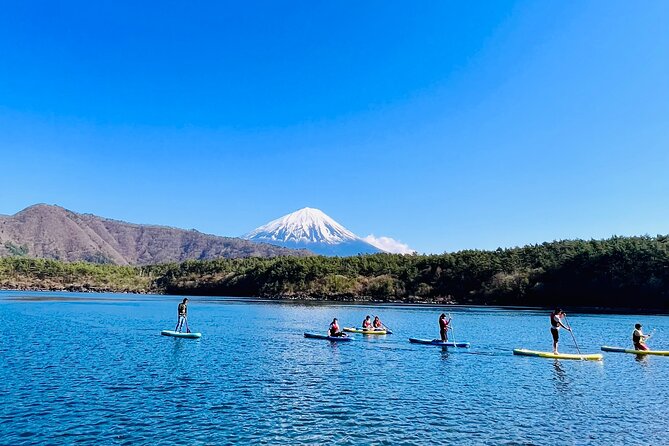 Mt Fuji Private Day Trip from Tokyo with English speaking driver - Oshino Hakkai and the village setting
