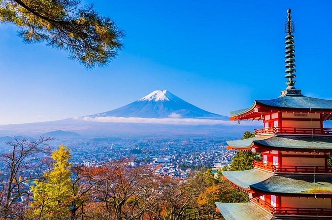 Mt Fuji Private Day Trip from Tokyo with English speaking driver - The Mt. Fuji Panoramic Ropeway