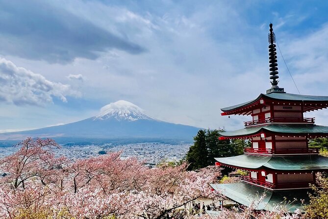 Mt Fuji Private Day Trip from Tokyo with English speaking driver - Lake Yamanakako and the 5th Station