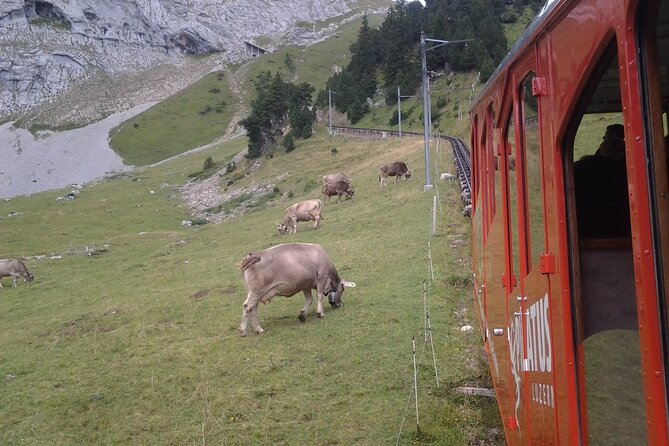 Mt. Pilatus Golden Roundtrip Small Group Day Trip from Lucerne - A relaxed descent by gondola and aerial cableway