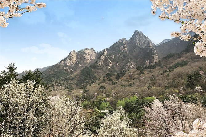 Mt. Seorak+Nami Island+Garden of Morning Calm Day Trip from Seoul - Is this 14-hour escape from Seoul worth the long day?