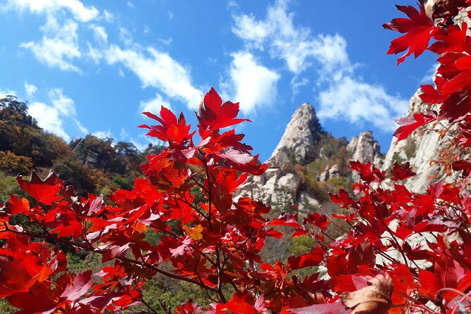 Mt. Seorak+Nami Island+Garden of Morning Calm Day Trip from Seoul - Mt. Seorak: the day’s strongest natural setting