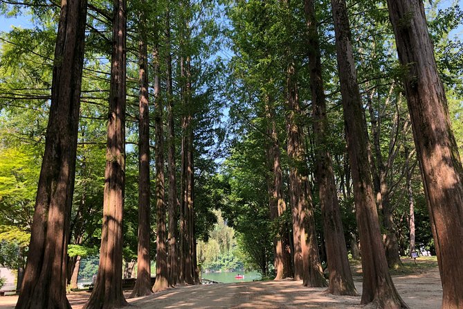 Mt. Seorak+Nami Island+Garden of Morning Calm Day Trip from Seoul - Nami Island: pleasant paths, heavy crowds