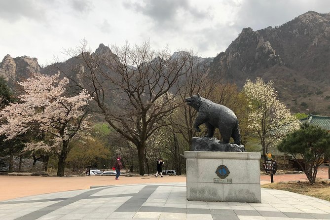 Mt. Seorak+Nami Island+Garden of Morning Calm Day Trip from Seoul - Garden of Morning Calm: a short final visit