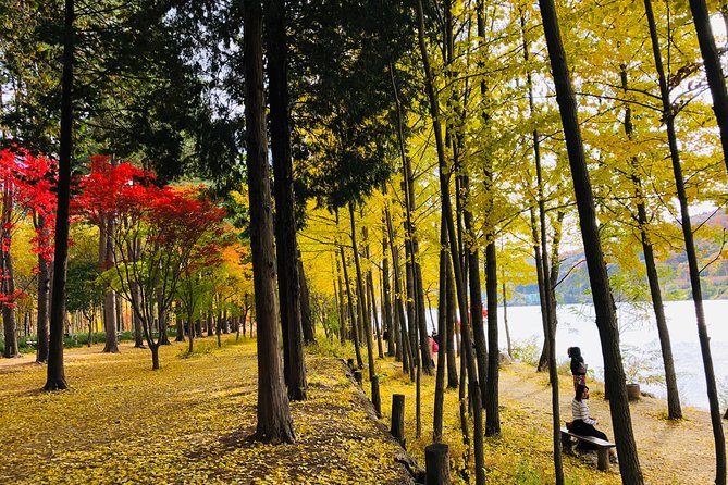 Mt. Seorak+Nami Island+Garden of Morning Calm Day Trip from Seoul - How to make the packed schedule work