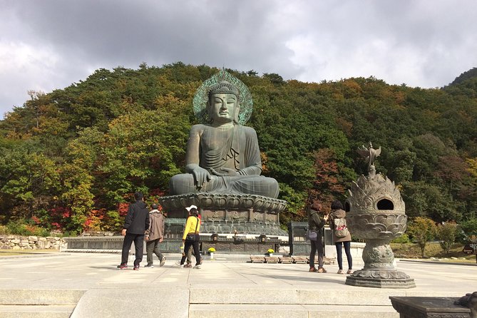 Mt. Seorak+Nami Island+Garden of Morning Calm Day Trip from Seoul - Who should book this tour?
