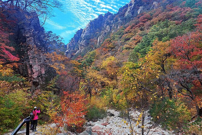 Mt. Seorak+Nami Island+Garden of Morning Calm Day Trip from Seoul - Meeting in central Seoul and settling into the vehicle