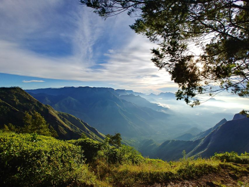 Munnar Private Day Trip - Key points to know before booking