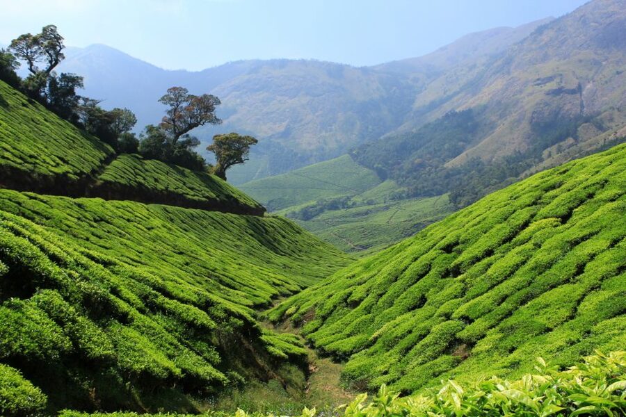 Munnar Private Day Trip - The Kochi to Munnar road: beautiful, slow, and demanding