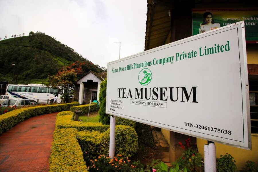 Munnar Private Day Trip - Tea plantations are the most memorable part