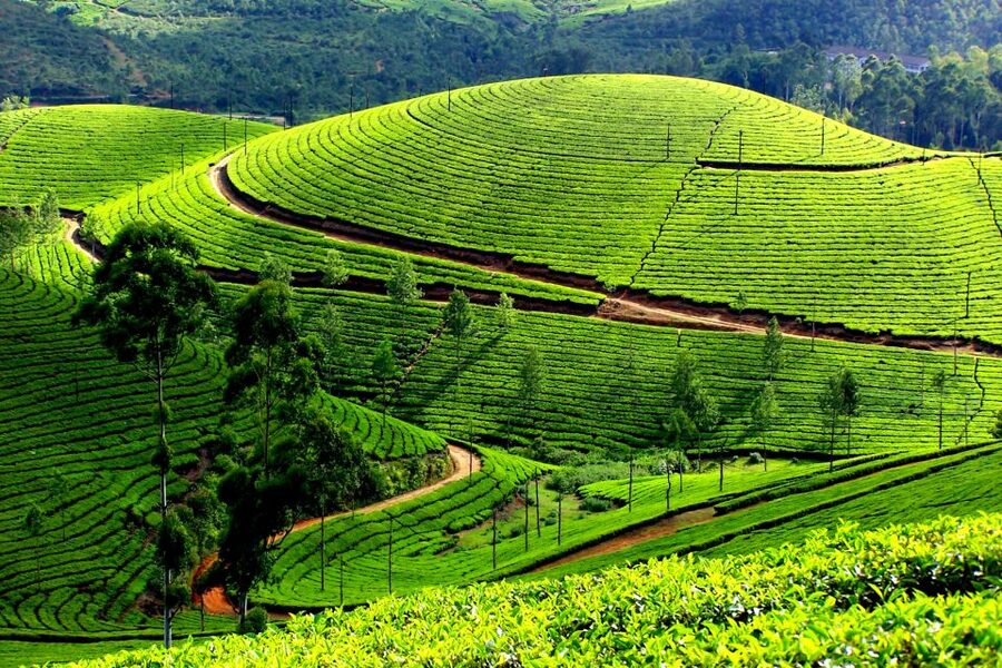 Munnar Private Day Trip - Cheeyappara and Valara waterfalls break up the climb