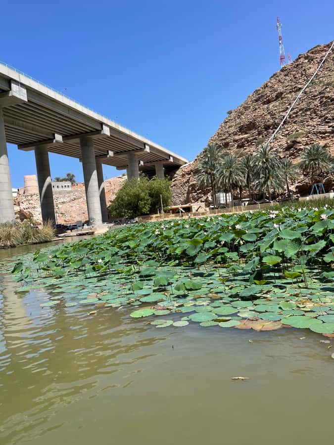 Muscat: Wadi Shab, Romantic Cave and Sinkhole Full-day Trip - Should you book the Wadi Shab tour?