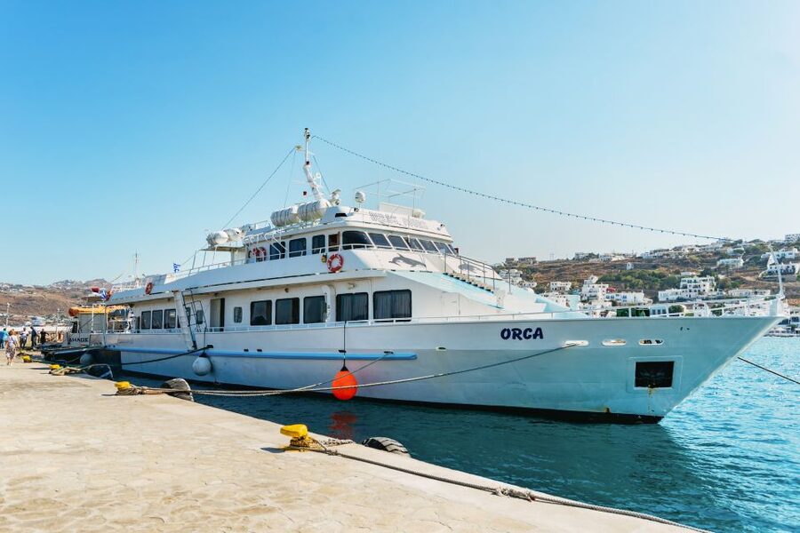 Mykonos Town: Archaeological Site of Delos Guided Day Trip - The museum and time to explore alone