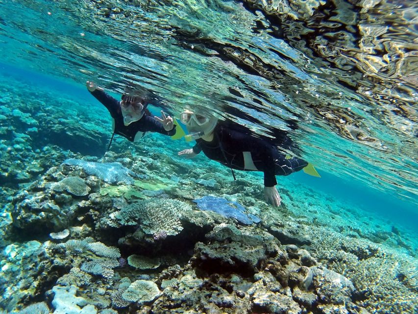 Naha, Okinawa: Keramas Island Snorkeling Day Trip with Lunch - Is $70 a good deal?