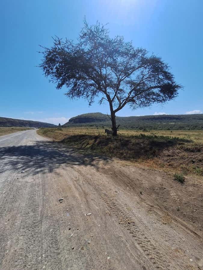 Nairobi: Lake Naivasha & Hell’s Gate National Park Day Trip - What the $36 price really buys
