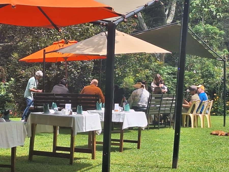 Nairobi: Tea Farm Day Trip with Lunch at kiambethu - What the $44 price really means
