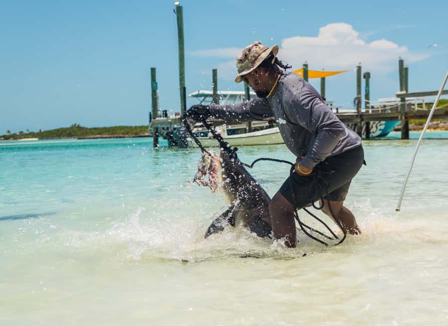 Nassau: Exuma Powerboat Day Trip - Ship Channel Cay, your private island base