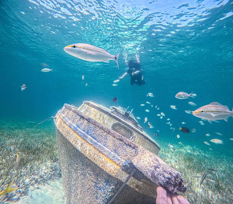 Nassau: Sun Cay Day Trip, Snorkel, Iguana Encounter, & Lunch - Leaving Nassau from Elizabeth on Bay