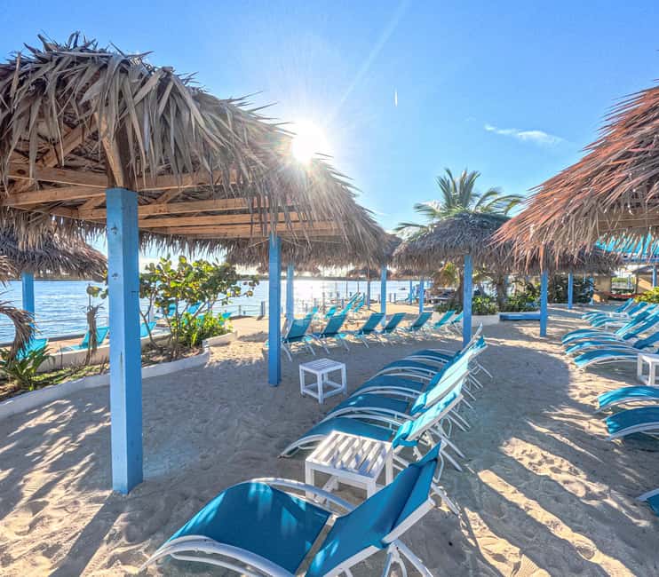 Nassau: Sun Cay Day Trip, Snorkel, Iguana Encounter, & Lunch - Snorkeling over wrecks and underwater sculptures