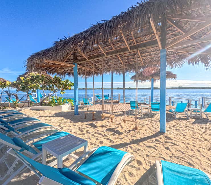 Nassau: Sun Cay Day Trip, Snorkel, Iguana Encounter, & Lunch - The iguana encounter is short but distinctive