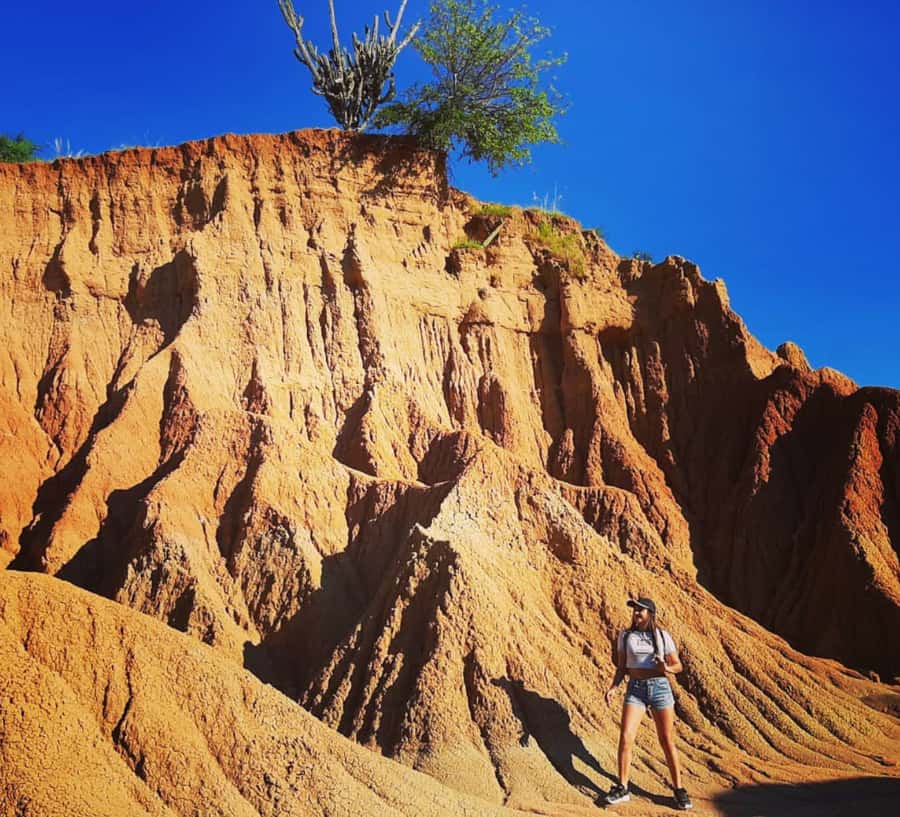 Neiva: Guided Day Trip to the Tatacoa Desert with Lunch - Five things to know before you go