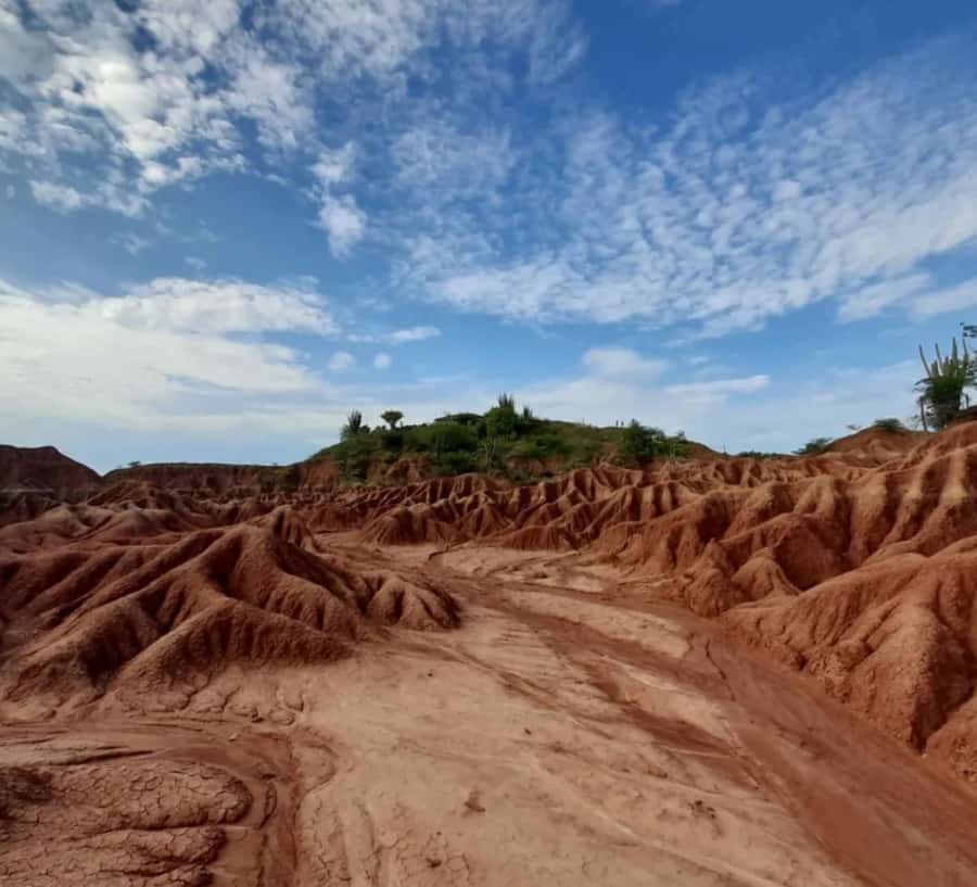 Neiva: Guided Day Trip to the Tatacoa Desert with Lunch - Why this Tatacoa tour is worth considering
