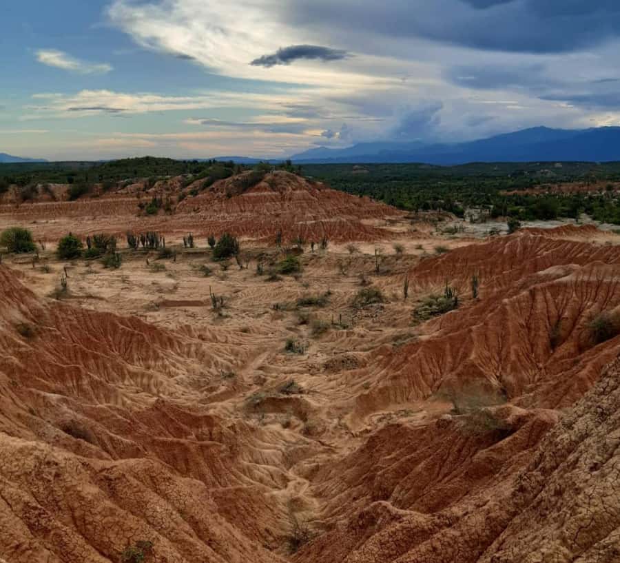 Neiva: Guided Day Trip to the Tatacoa Desert with Lunch - Walking the red zone and the Cuzco Labyrinth