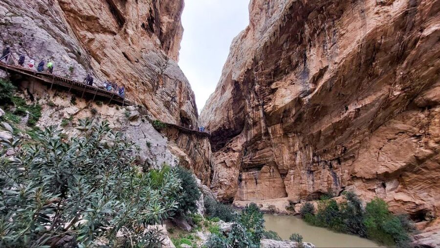 Nerja, Torrox, or Torre del Mar: Caminito del Rey Day Trip - Walking 100 meters above the river