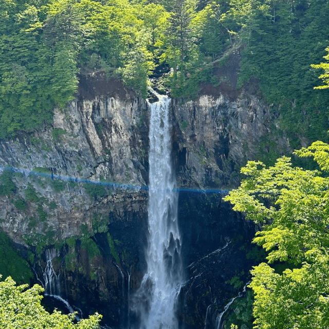 Nikko Heritage & Nature Day Trip from Tokyo - Toshogu Shrine: the day’s cultural anchor