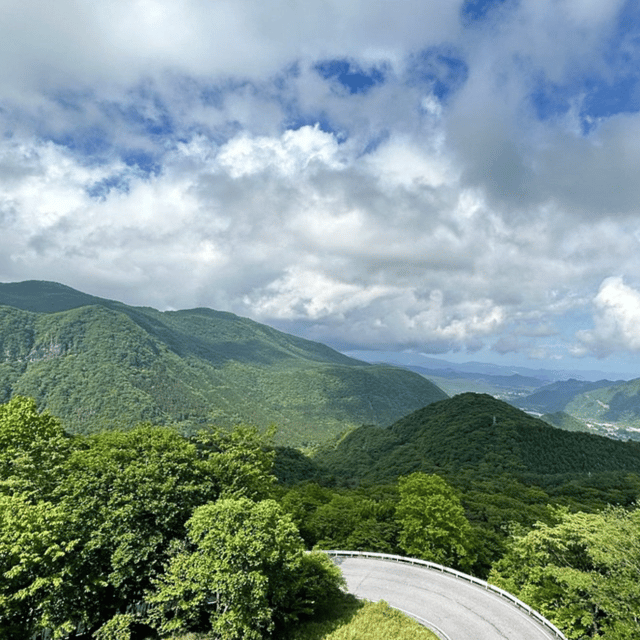 Nikko Heritage & Nature Day Trip from Tokyo - A private vehicle is the real selling point
