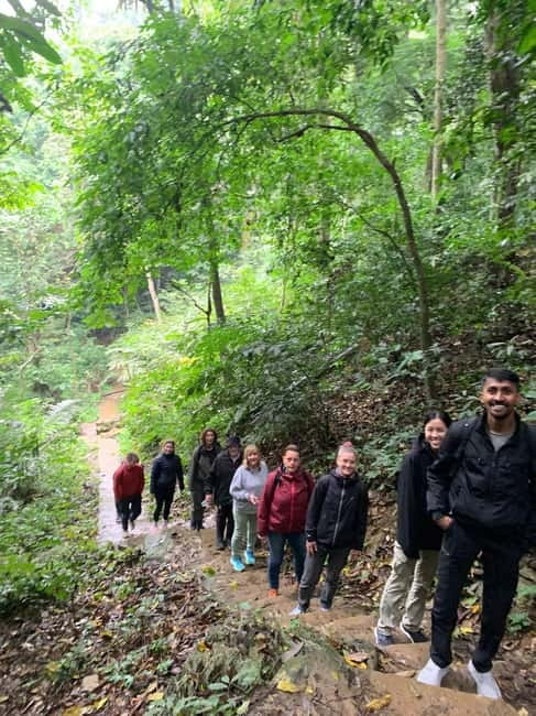 Ninh Binh: Cuc Phuong Jungle Hike & Wildlife Day Trip - The rainforest trail is a walk, not a mountain expedition