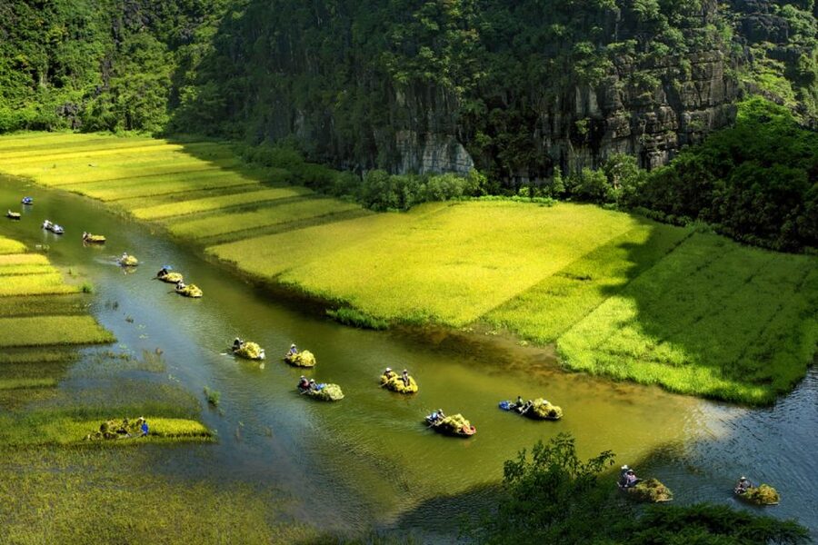 Ninh Binh: Hoa Lu, Trang An and Mua Caves Hiking Day Trip - Lunch and the limits of the buffet