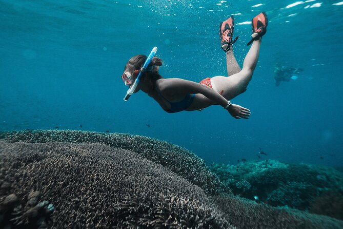 Nusa Penida day trip: boat, 4 snorkeling, Manta rays & Land tour - A full day that begins at Sanur