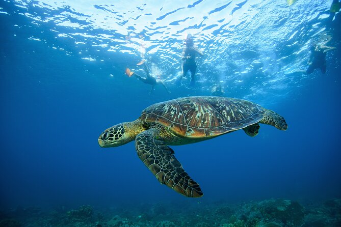 Nusa Penida day trip: boat, 4 snorkeling, Manta rays & Land tour - Lunch with an infinity pool and ocean views