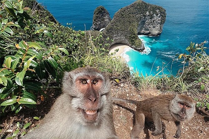 Nusa Penida day trip: boat, 4 snorkeling, Manta rays & Land tour - What the $78 price includes