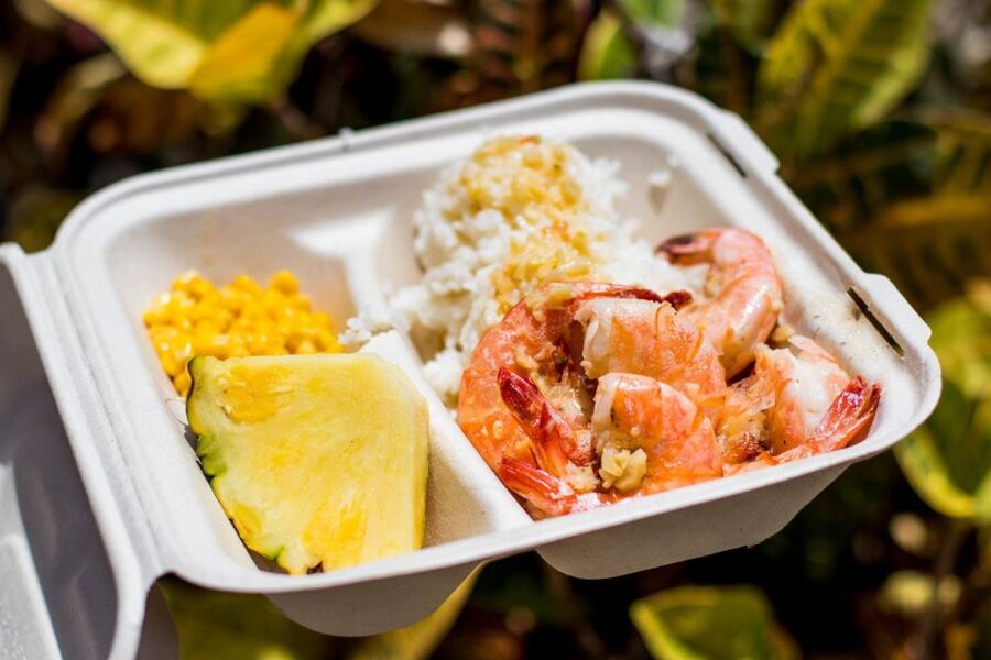 Oahu: Circle Island Day Trip with Shrimp Plate Lunch - What the $128 Oahu circle tour actually gives you