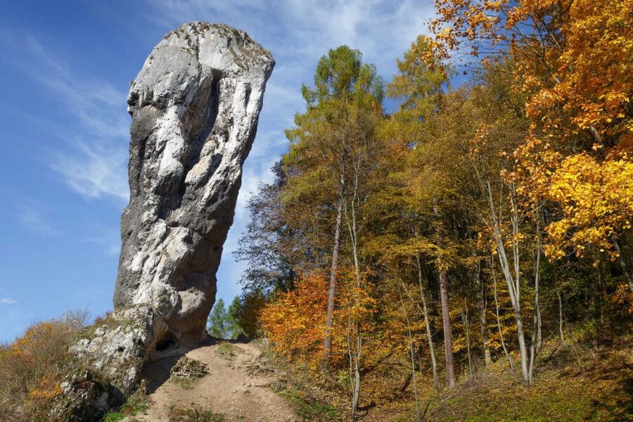 Ojcow National Park: Full-Day Trip from Krakow - Who should book this experience?