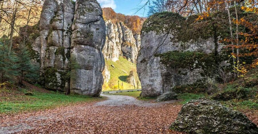 Ojcow National Park: Full-Day Trip from Krakow - The forest path to Krakow Gate