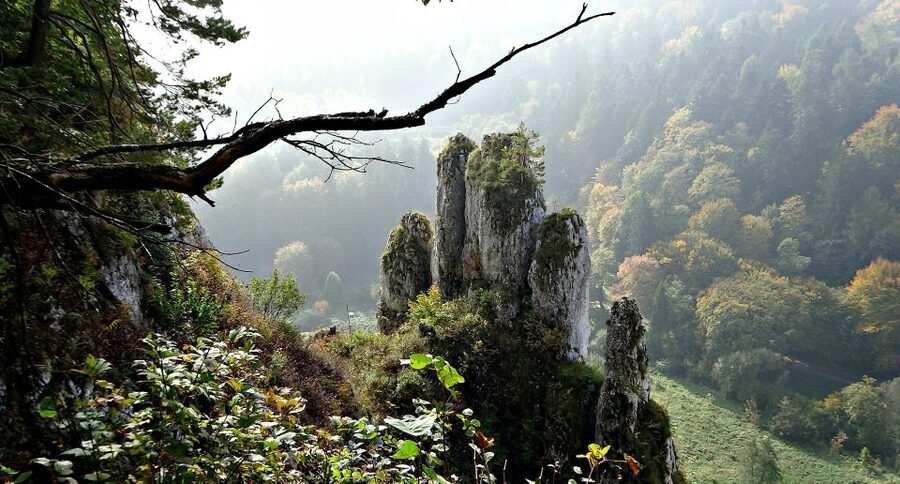 Ojcow National Park: Full-Day Trip from Krakow - Ojcow’s Gothic castle ruins