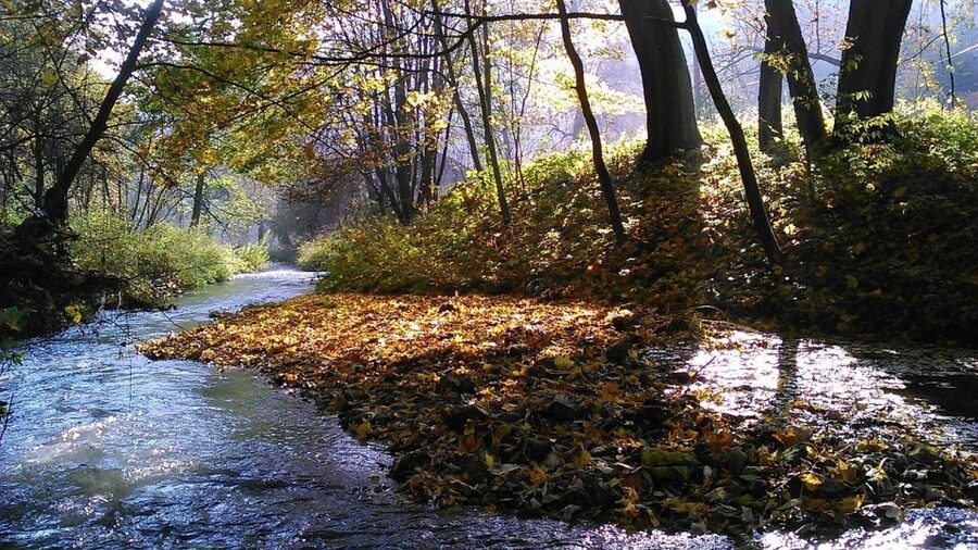 Ojcow National Park: Full-Day Trip from Krakow - What the guide adds to the day